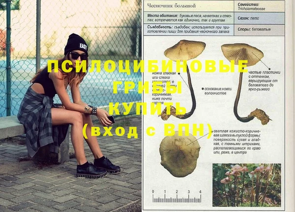 jwh Богородицк