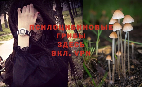 jwh Богородицк